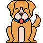 Cachorro